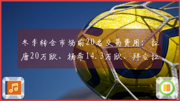 冬季转会市场前20名交易费用：拉唐20万欧、杨希14.3万欧、拜合拉木8.05万