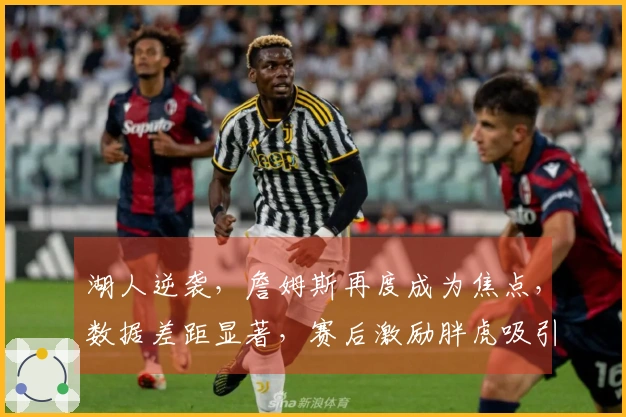 湖人逆袭，詹姆斯再度成为焦点，数据差距显著，赛后激励胖虎吸引更多粉丝