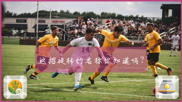 这招旋转的名称你知道吗？